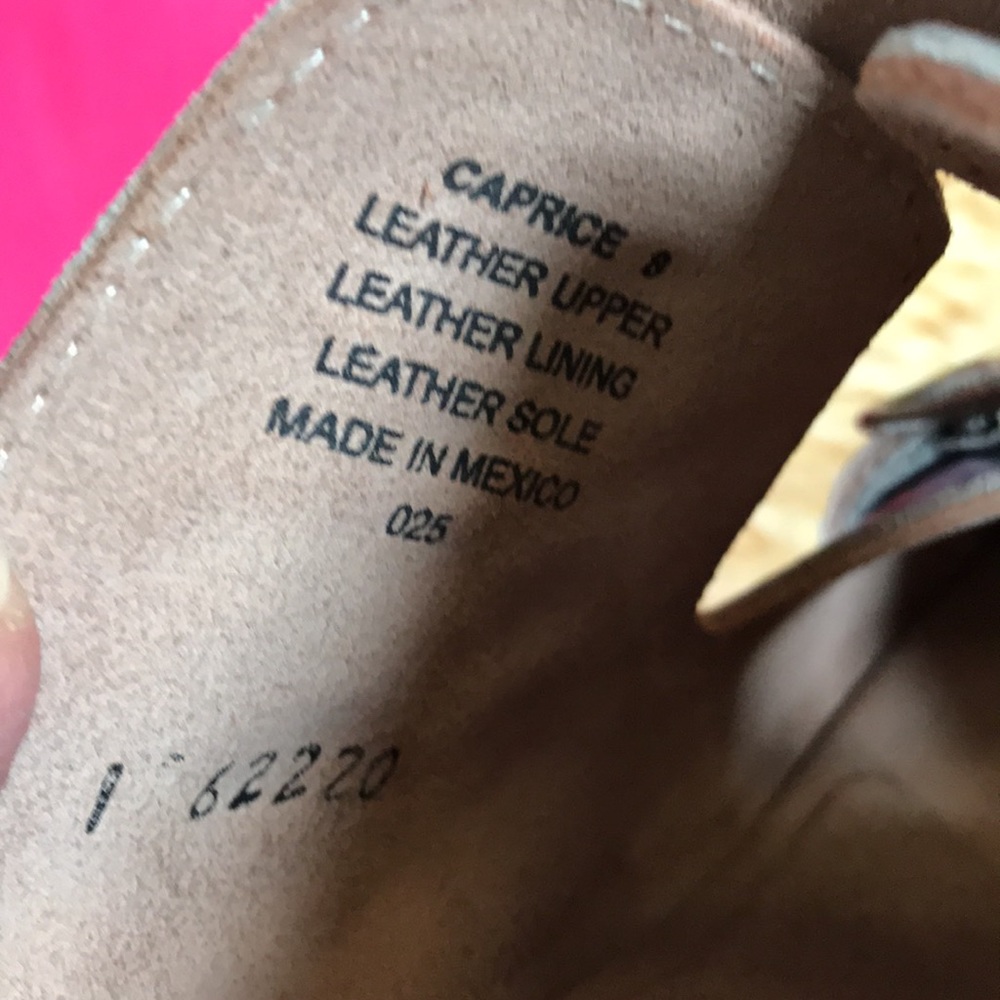 Freebird Caprice 8 - image 6